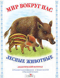 Д. Куликовский: Дидактический материал "Мир вокруг нас". "Лесные животные"