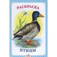 Раскраска "Птицы"