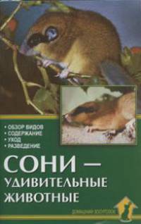 Сони - удивительные животные