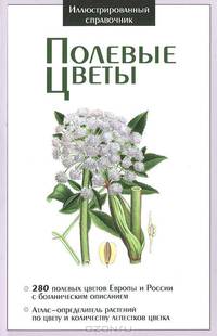 Крист.ИС.Полевые цветы / мел