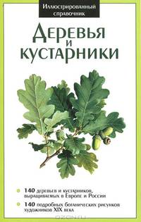 Крист.ИС.Деревья и кустарники / мел