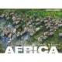 Africa.Flying High