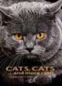 Cats, Cats...and More Cats!