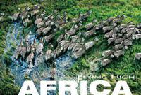 Africa: Flying High