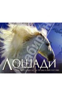 Лошади
