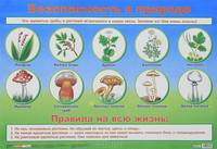 Плакат. Безопасность в природе