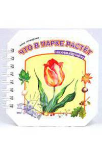 Что в парке растёт