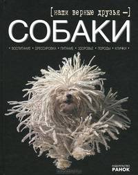 Мое хобби, 'Наши верные друзья-собаки'