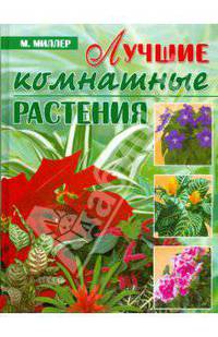Лучшие комнатные растения