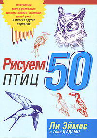 Рисуем 50 птиц