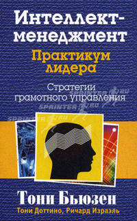 Интеллект - менеджмент. Практикум лидера