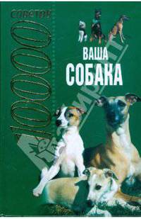 Ваша собака.10000 советов - (10000 советов)