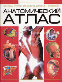 Анатомический атлас. Основы строения и физиологии человека / Под ред. А.И. Бориса