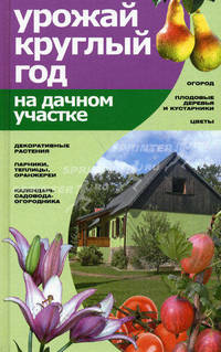 Урожай круглый год на дачном участке.