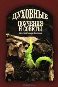 Каковы твои мысли, такова и жизнь твоя. Поучения старца Фаддея Витовницкого