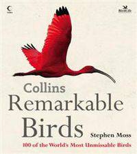 Remarkable Birds