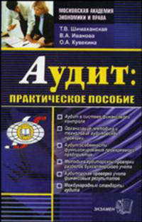 Аудит: практическое пособие
