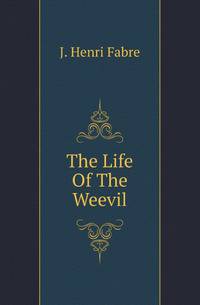 The Life Of The Weevil