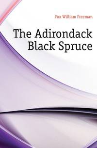 The Adirondack Black Spruce