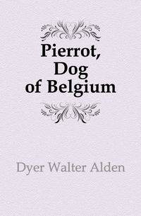 Pierrot, Dog of Belgium