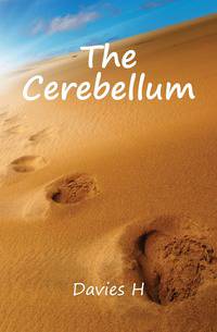 The Cerebellum