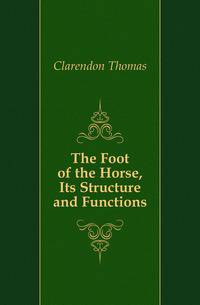 The Foot of the Horse, Its Structure and Functions