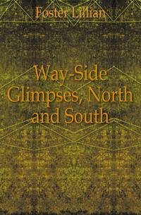 Way-Side Glimpses, North and South