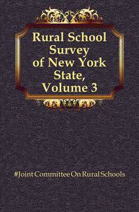 Rural School Survey of New York State, Volume 3