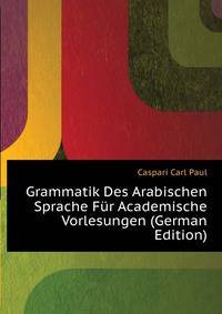 Grammatik Des Arabischen Sprache Fuer Academische Vorlesungen (German Edition)