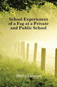 School Experiences of a Fag at a Private and Public School