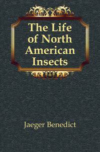 The Life of North American Insects