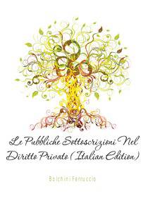 Le Pubbliche Sottoscrizioni Nel Diritto Privato (Italian Edition)