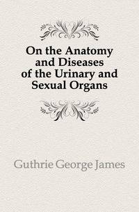 On the Anatomy and Diseases of the Urinary and Sexual Organs