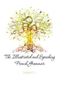 The Illustrated and Speaking French Grammar