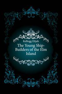 The Young Ship-Builders of the Elm Island