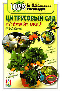 Цитрусовый сад на вашем окне: Как выбирать саженцы; Болезни и лечение; Почва и подкормка - (1000 советов от газеты 'Комсомольская правда')