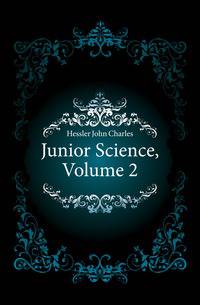 Junior Science, Volume 2