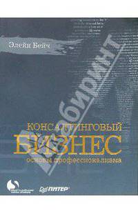 Консалтинговый бизнес. Основы профессионализма