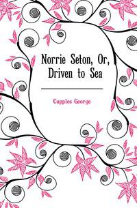 Norrie Seton, Or, Driven to Sea