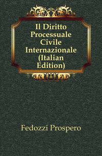 Il Diritto Processuale Civile Internazionale (Italian Edition)