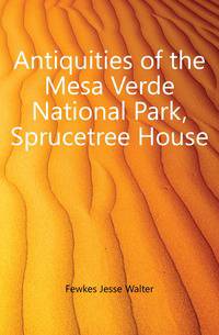 Antiquities of the Mesa Verde National Park, Sprucetree House