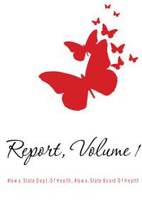 Report, Volume 1