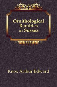 Ornithological Rambles in Sussex