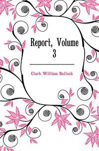 Report, Volume 3