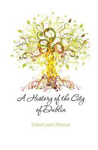 A History of the City of Dublin