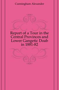 Report of a Tour in the Central Provinces and Lower Gangetic Doab in 1881-82