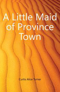 A Little Maid of Province Town