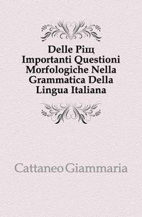 Delle Piu Importanti Questioni Morfologiche Nella Grammatica Della Lingua Italiana