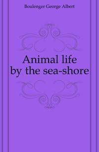Animal life by the sea-shore