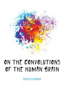 On the Convolutions of the Human Brain